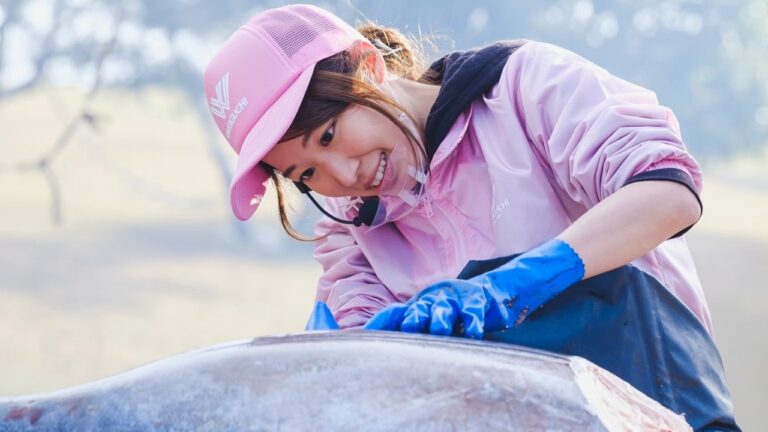 まぐろ解体ショーのお知らせ